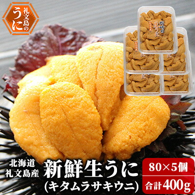 【ふるさと納税】北海道 礼文島産 新鮮生うに（ キタムラサキウニ ）80g×5個 ウニ 雲丹 魚貝類 　お届け：2025年5月上旬～9月中旬まで