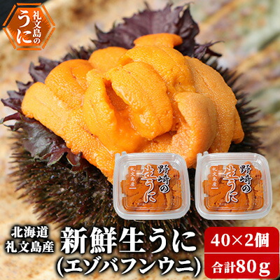 【ふるさと納税】北海道 礼文島産 新鮮生うに（ エゾバフンウニ）40g×2個 ウニ 雲丹 魚貝類 80g 　お届け：2025年6月上旬～8月下旬まで