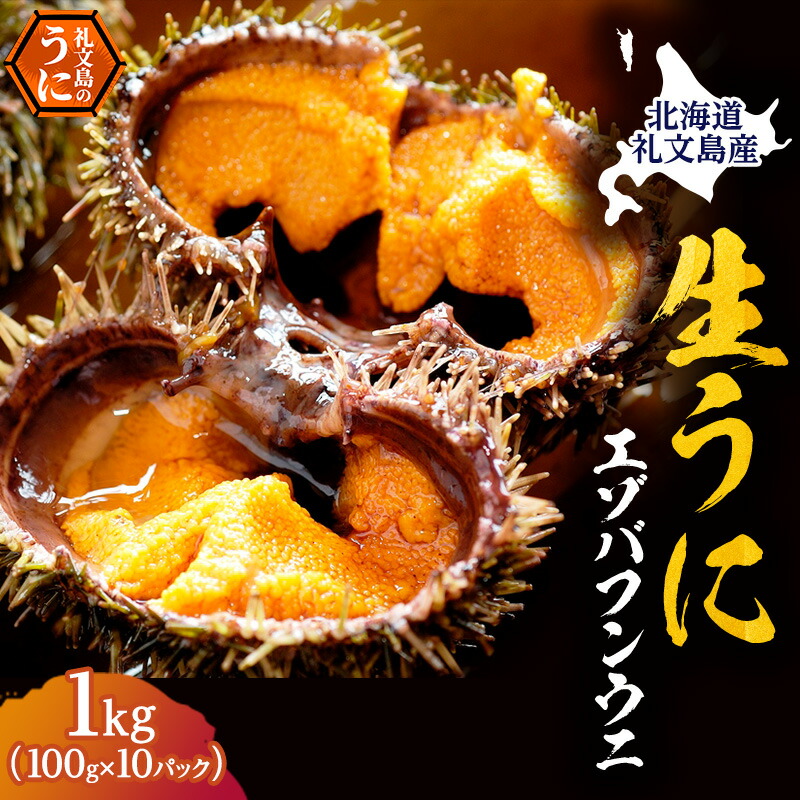 【ふるさと納税】北海道 礼文島産 採れたて バフンウニ  塩水パック 100g×10  生うに 生ウニ  塩水うに 魚貝類 雲丹 1kg 　お届け：2025年6月～7月末まで
