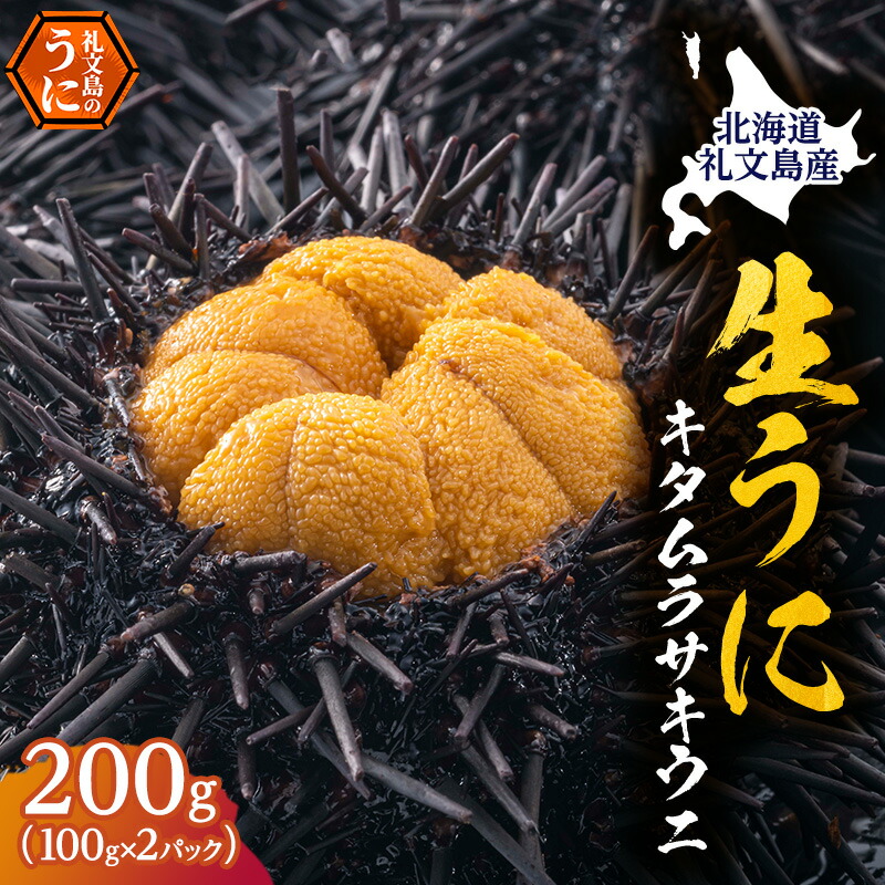 【ふるさと納税】北海道 礼文島産 採れたて キタムラサキウニ 塩水パック 100g×2 生うに 生ウニ  塩水うに 魚貝類 雲丹 200g 　お届け：2025年5月～9月末まで