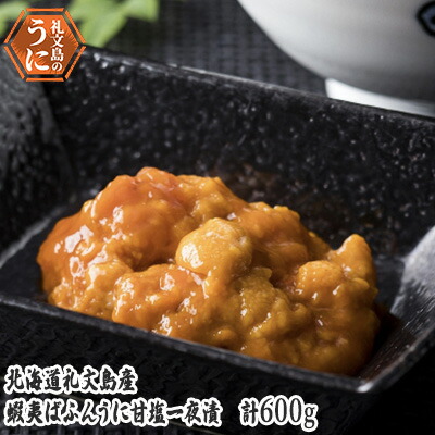 【ふるさと納税】北海道 礼文島産　蝦夷ばふんうに 甘塩一夜漬 60g×10 ウニ 雲丹 魚貝類 バフンウニ 600g 加工食品
