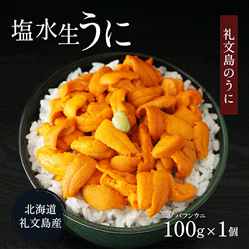 【ふるさと納税】北海道 礼文島産  塩水ウニ （ エゾバフンウニ ）100g×1  生うに うに 雲丹  魚貝類 生ウニ 海の幸 肴 つまみ 海鮮 生もの 北海道産 　お届け：2025年6月上旬～8月下旬まで