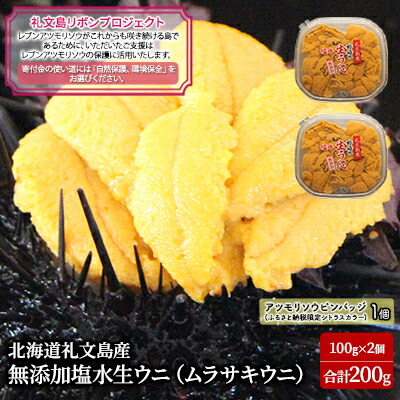 【ふるさと納税】【礼文島リボンプロジェクト】 北北海道 礼文島産  塩水ウニ （ キタムラサキウニ ）100g×2  生うに うに 雲丹  魚貝類 海の幸 海鮮 　お届け：2025年5月上旬～9月中旬まで