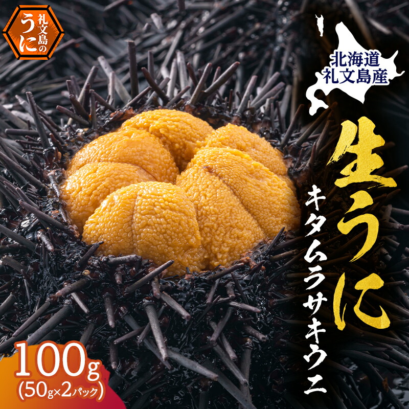 【ふるさと納税】北海道 礼文島産 採れたて キタムラサキウニ 塩水パック 50g×2 生うに 生ウニ 塩水うに 魚貝類 雲丹　お届け：2025年5月～9月末まで
