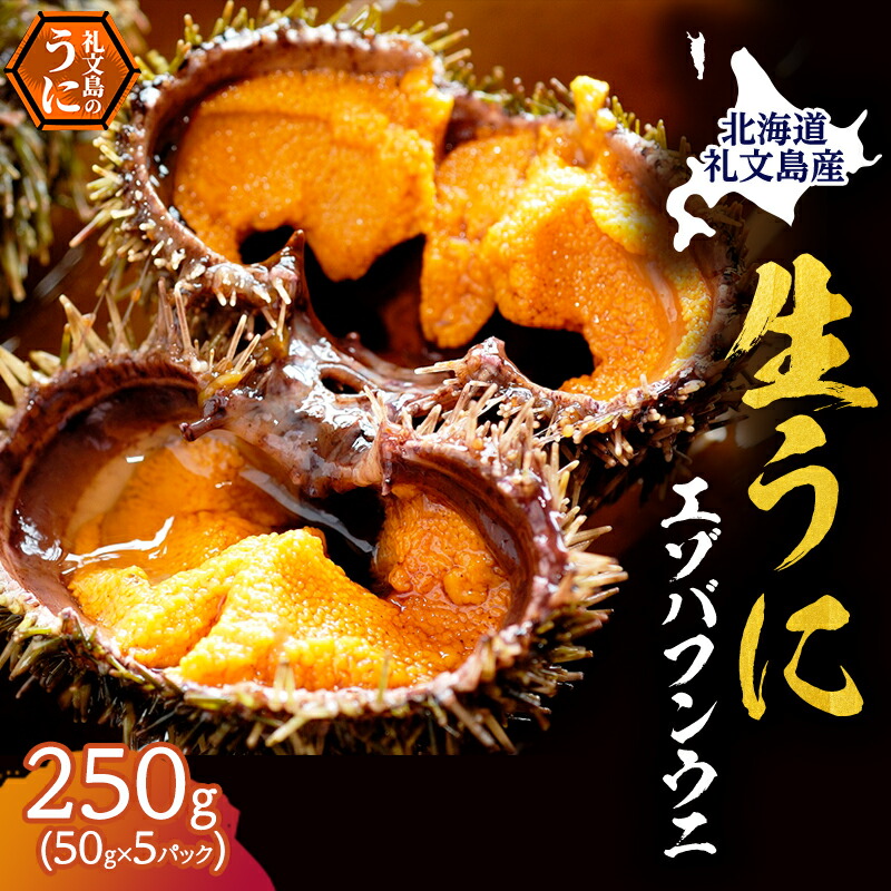 【ふるさと納税】北海道 礼文島産 採れたて バフンウニ 塩水パック 50g×5 生うに 生ウニ 塩水うに 魚貝類 雲丹　お届け：2025年6月～7月末まで