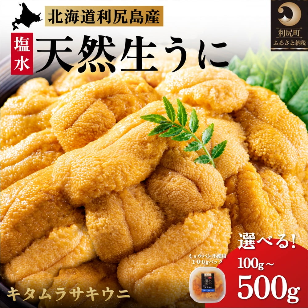 【ふるさと納税】◆2025年発送予約◆ 利尻島産 キタムラサキウニ  選べる100g～500g（1パック100g）ミョウバン不使用 刺身 朝どれ 生うに ウニ うに 雲丹 天然 uni 新鮮 海の幸 海鮮 濃厚 海の幸 贈答 ギフト 北海道 利尻島