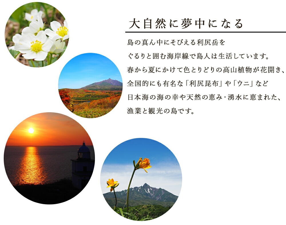 市場 ふるさと納税 マグネット缶付き北海道ふるさと納税 白い恋人 白い恋人に描かれた利尻山 チョコレートドリンクセット