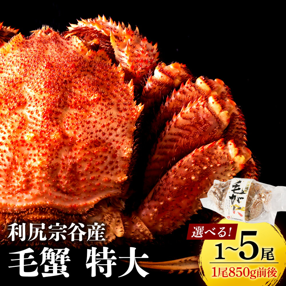 【ふるさと納税】 毛ガニ 北海道 利尻・宗谷産 毛ガニ 特大サイズ(850g前後) 選べる1尾~5尾 <利尻漁業協同組合>北海道ふるさと納税 利尻富士町 ふるさと納税 北海道 海鮮 カニ 蟹 毛ガニ 毛蟹 蟹みそ 毛ガニ|北海道利尻富士町