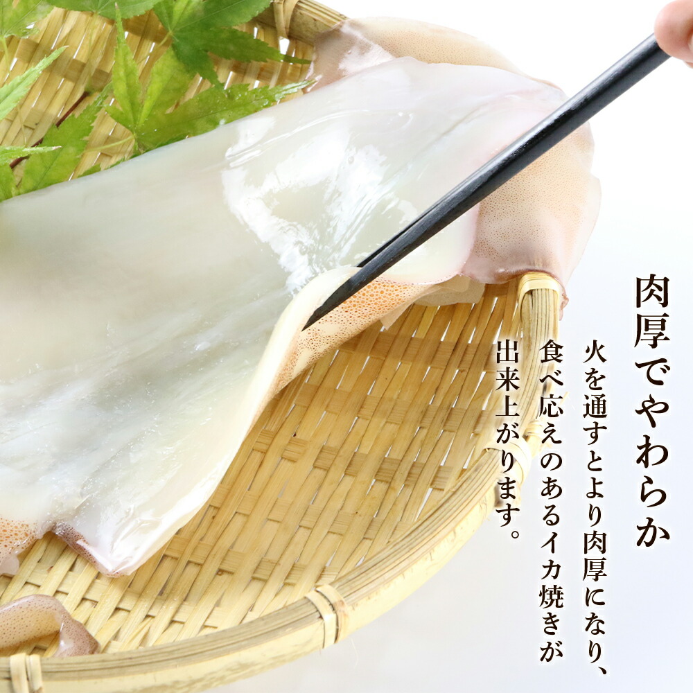 注目の福袋 いかの一夜干し 5パック 利尻漁業協同組合 いか イカ 一夜干し 干物 北海道ふるさと納税 利尻富士町 ふるさと納税 北海道 Fucoa Cl