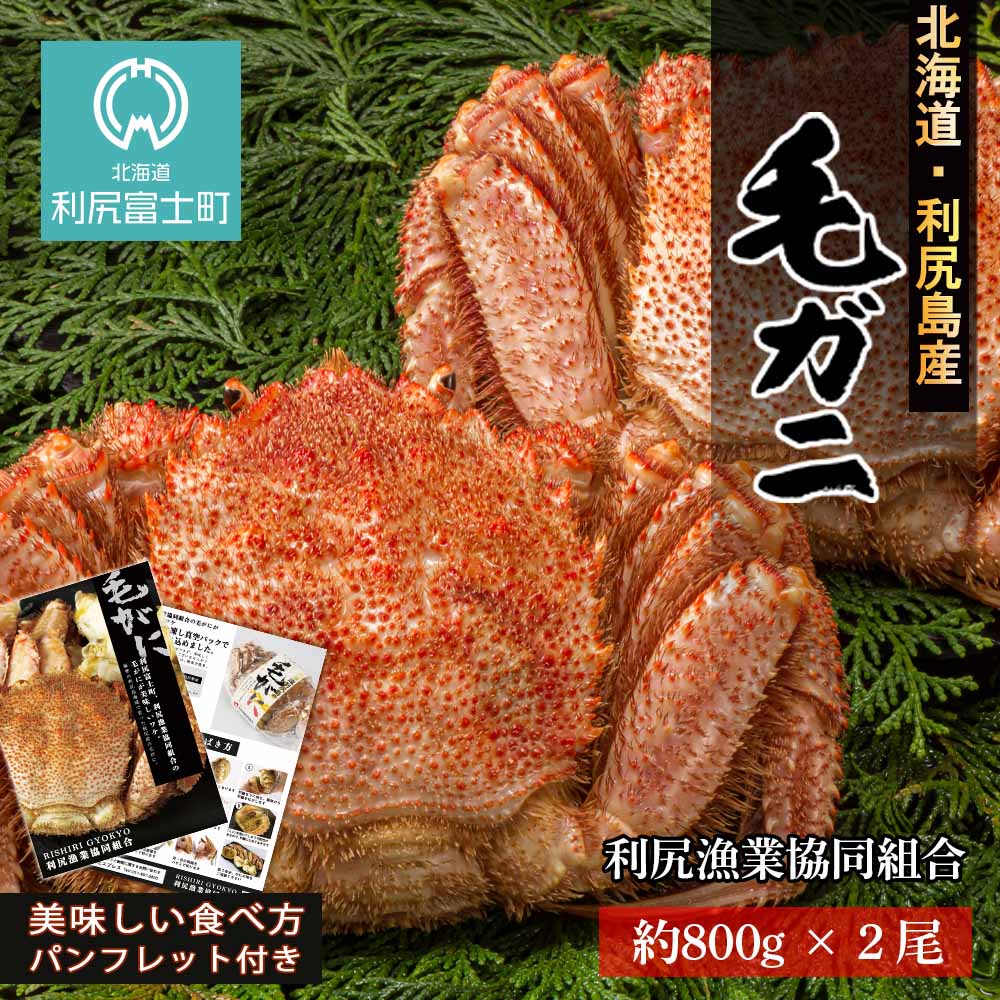 最安値 利尻直送 毛ガニ 特大サイズ 2尾セット 利尻漁業協同組合 北海道ふるさと納税 利尻富士町 ふるさと納税 北海道 海鮮 北海道 カニ ふるさと納税 北海道 蟹 毛ガニ 毛蟹 蟹みそ 毛ガニ 濃厚 蟹棒 蟹甲羅 1 Rakuten Draft Portnetcorporation Co Zw