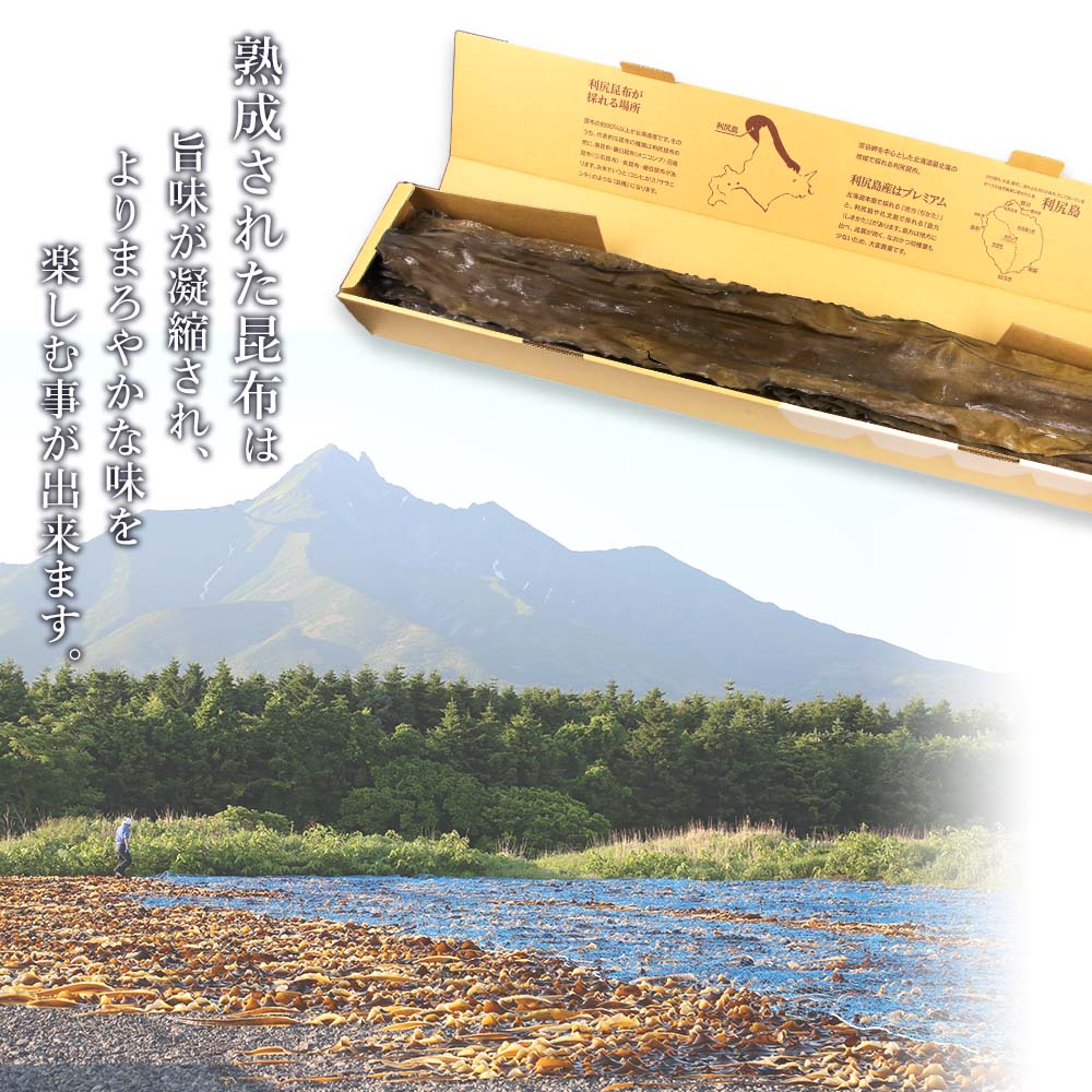 本物 ふるさと納税 新物 天然長切昆布三等 1kg《昆布屋神兵衛》 北海道利尻富士町 ふるさと納税 おらいの利尻海藻 銀杏草10g×2《昆布屋神兵衛》 北海道利尻富士町