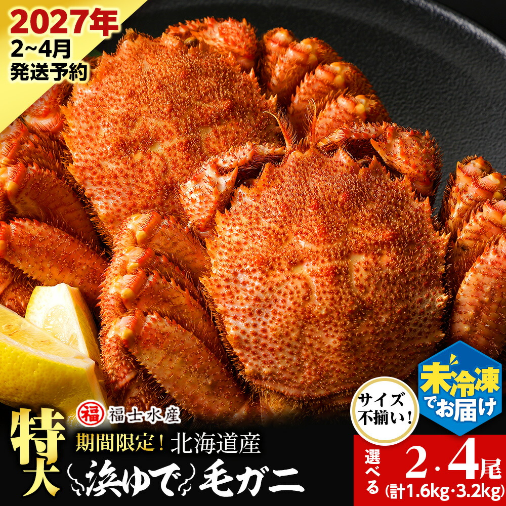 【ふるさと納税】【2027年発送予約】チルドでお届け! 浜茹で毛ガニ特大サイズ 選べる2尾~4尾 (不揃い合計約1.6kg~3.2kg)〈福士水産〉北海道ふるさと納税 利尻富士町 ふるさと納税 北海道 かにふるさと納税 北海道 カニ ふるさと納税 北海道 毛ガニ 毛蟹 冷蔵 新物|北海道利尻富士町