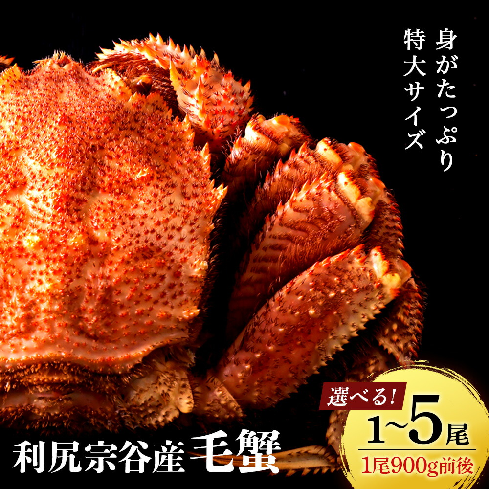 【ふるさと納税】【新物予約開始】 毛ガニ 北海道 利尻・宗谷産 毛ガニ 特大サイズ（900g前後） 選べる1尾～5尾 ＜利尻漁業協同組合＞<BR>北海道ふるさと納税 利尻富士町 ふるさと納税 北海道 海鮮 カニ 蟹 毛ガニ 毛蟹 蟹みそ 毛ガニ 濃厚 蟹棒 蟹甲羅 おせち