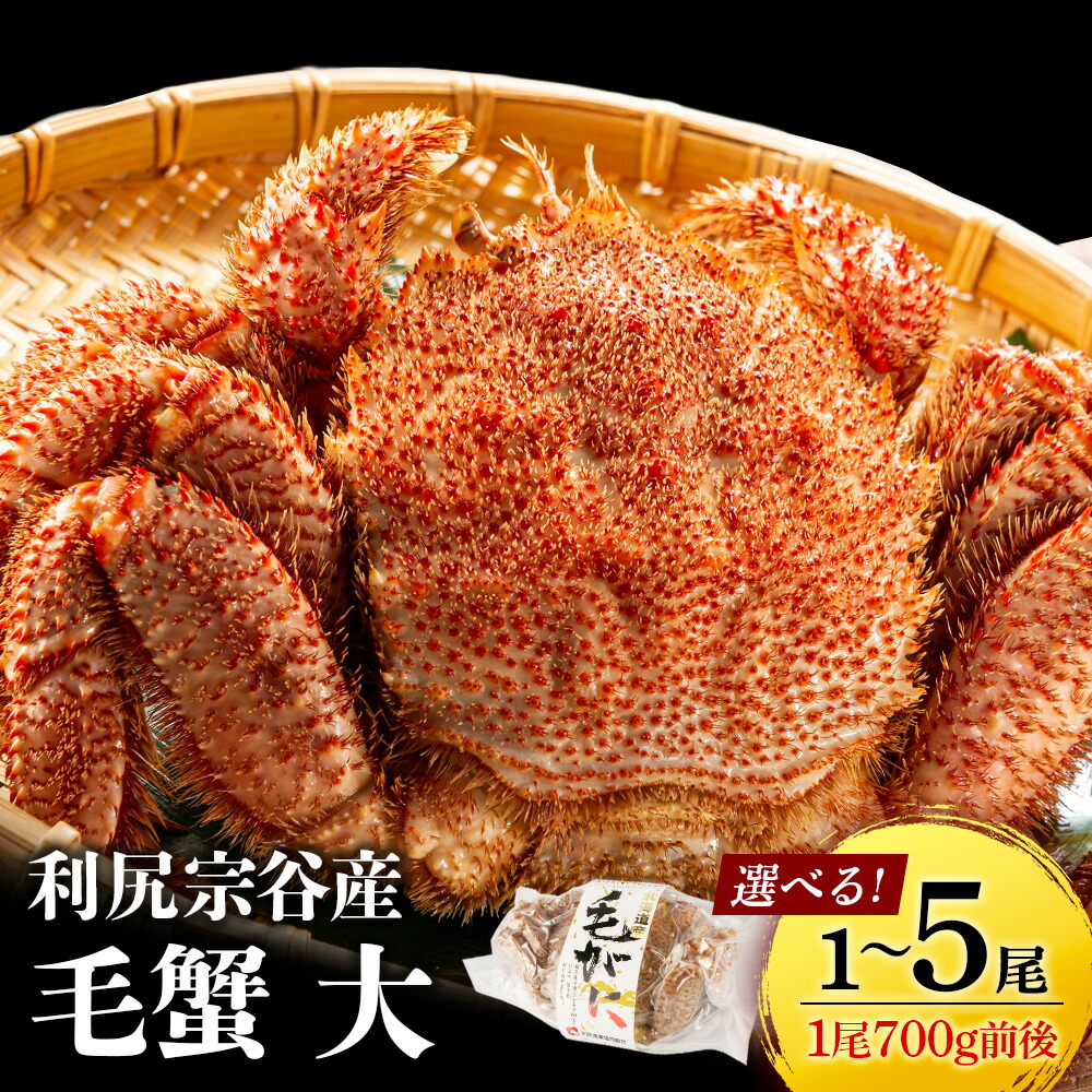 【ふるさと納税】☆選べる発送時期☆ 北海道 利尻島産 毛ガニ 大サイズ （700g前後）選べる1尾～5尾＜利尻漁業協同組合＞ 北海道ふるさと納税 利尻富士町 ふるさと納税 北海道 海鮮 北海道 カニ 蟹 毛ガニ 毛蟹 蟹みそ 濃厚 蟹棒 甲羅