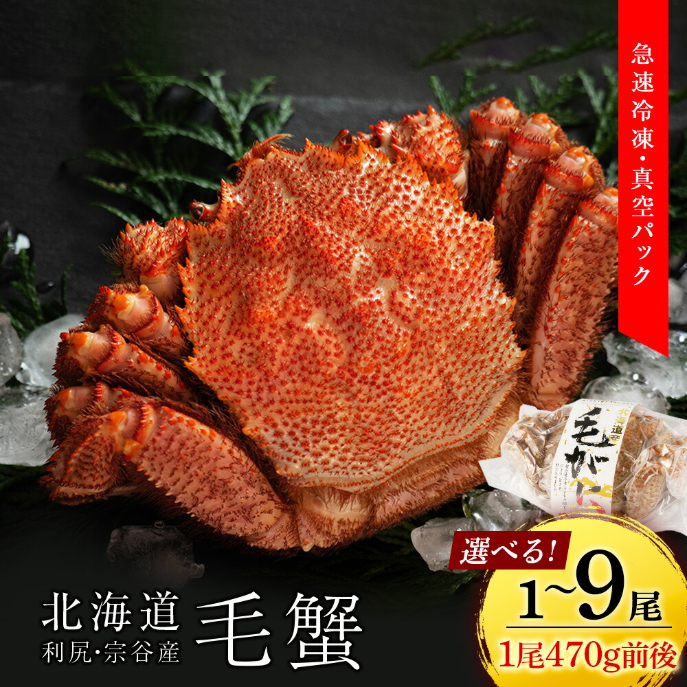 【ふるさと納税】 利尻・宗谷産 毛ガニ 小サイズ（470g前後）選べる1尾～9尾＜利尻漁業協同組合＞<BR>北海道ふるさと納税 利尻富士町 ふるさと納税 北海道 海鮮 北海道 カニ 蟹 毛ガニ 毛蟹 蟹みそ 濃厚 蟹棒 蟹甲羅