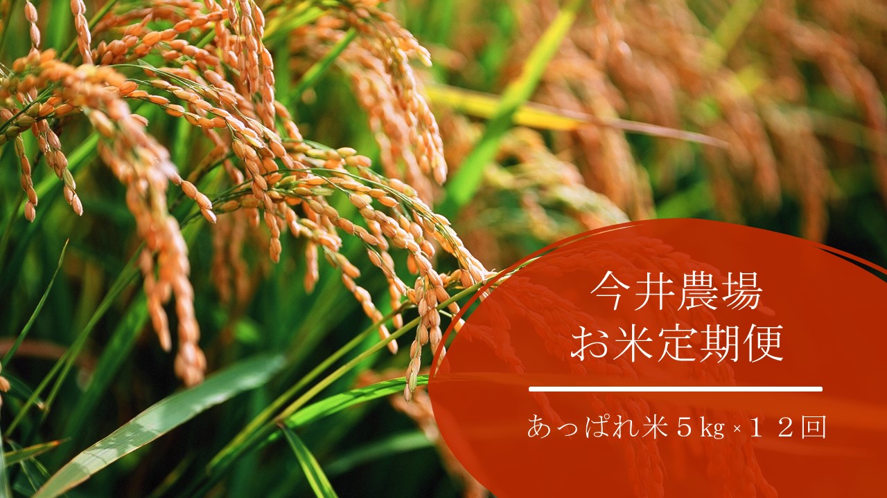 お米定期便 毎月お届け 年収穫米 送料無料 令和2年産 お米 定期便 北海道 産地直送 国産米 送料込み 米 5kg 白米 玄米 ふるさと納税 定期便 今井農場 あっぱれ米5kg 12回 毎月 W