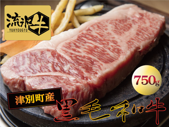 22050円 【SALE／87%OFF】 流氷牛ステーキ肉 750g 250g×3 サーロイン 035-31129-a01F