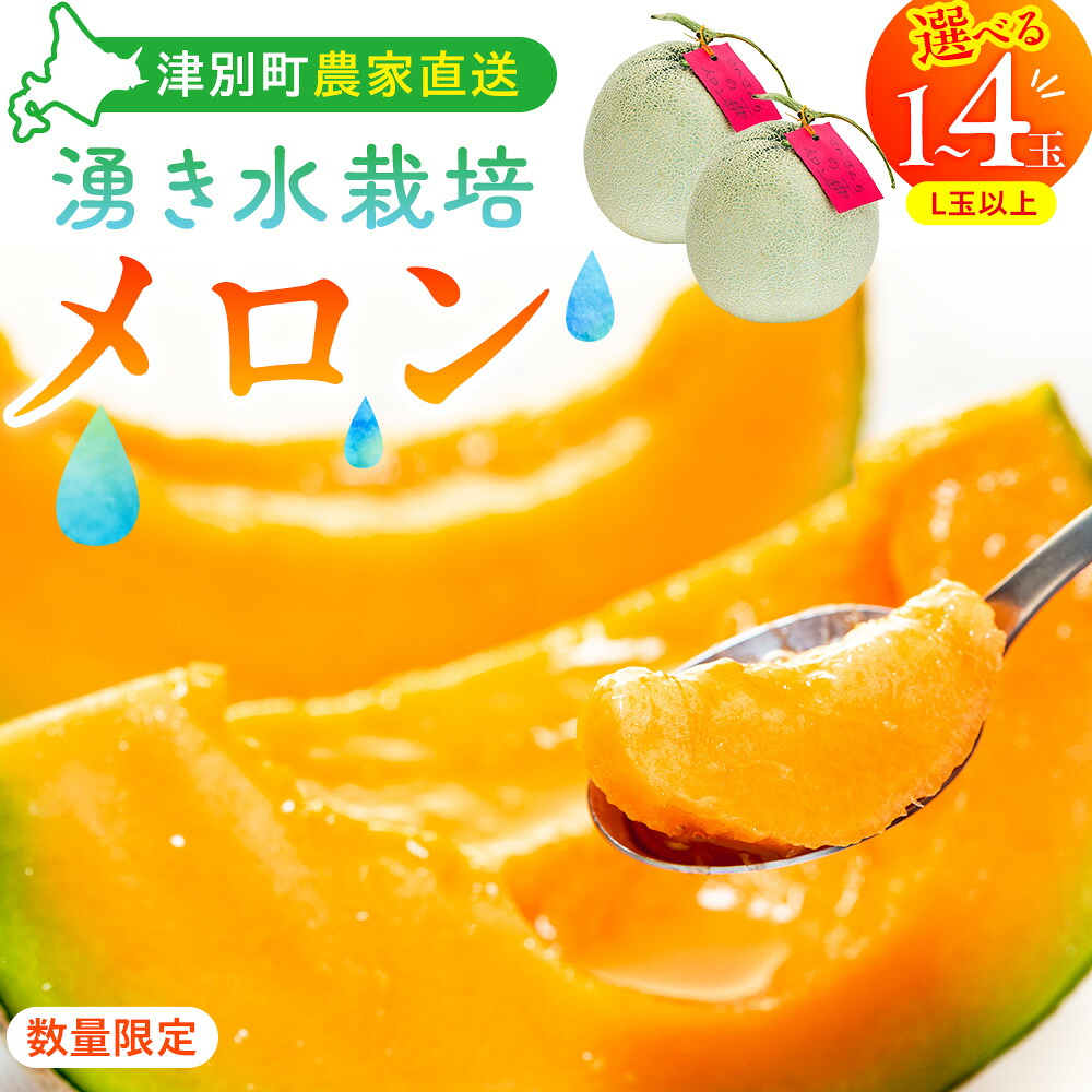 【ふるさと納税】[数量限定・R8年収穫分]さのさん家のメロン（L玉以上）1玉 湧き水栽培 さの農場 | 先行予約 北海道産 産地直送 高糖度 お中元 夏ギフト 赤肉 果物 デザート 北海道 津別町｜北海道津別町