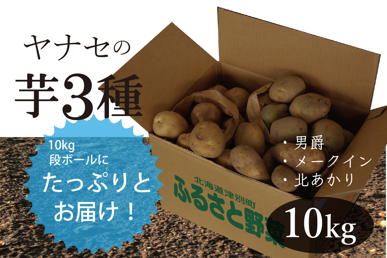 ふるさと納税 じゃがいも食べ比べ 男爵 北あかり メークイン 10kg じゃがいも3種 食べ比べセット それぞれの持つおいしさを味わって下さい 10kg じゃがいも3種類名称じゃがいも 下記の事 Wevonline Org