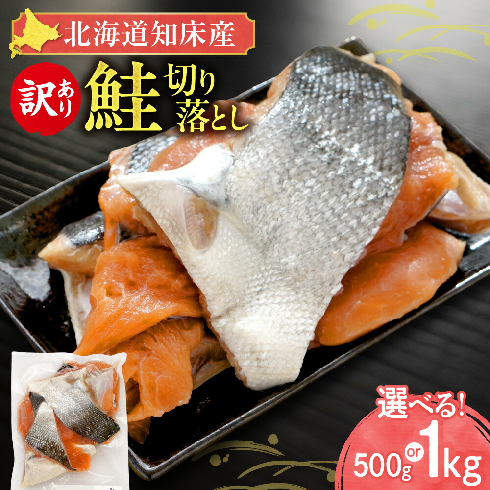 【ふるさと納税】【訳あり】北海道知床産 鮭切り落とし 【選べる容量】500g 1000g【配送不可地域：離島・沖縄県】 10,000円