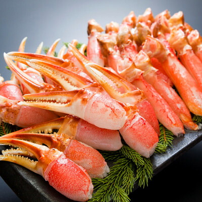 【ふるさと納税】人気部位を堪能!ずわい蟹 爪・爪下(各500g)セット　殻むき済み【配送不可地域：離島】【1749029】｜北海道小清水町