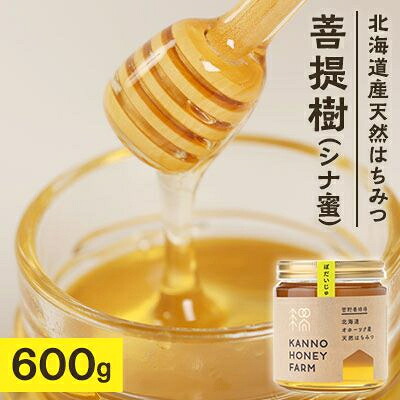 【ふるさと納税】北海道産天然はちみつ 菩提樹 600g【配送不可地域:離島・沖縄県】【1056685】|北海道訓子府町