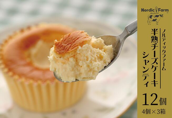 【ふるさと納税】濃厚トロリとろける　半熟チーズケーキ・シャンティ〔4個入り×3箱〕 ( ふるさと納税 チーズケーキ スイーツ デザート 北海道産 濃厚クリーム ふわとろ食感 北海道 遠軽町 ノルディックファーム ) en01-00084
