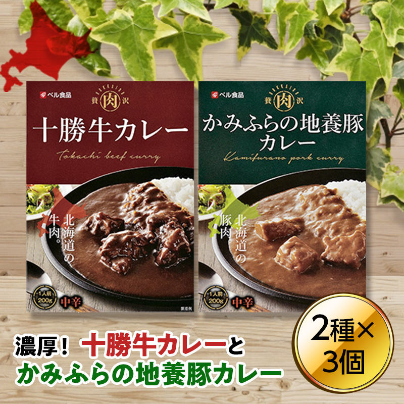 楽天市場】【ふるさと納税】ＧＡＲＡＫＵスープカレー２種食べ比べ４個セット : 北海道遠軽町