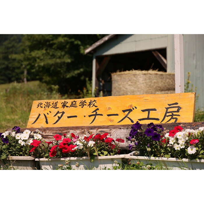 ふるさと納税 発酵バター 溶かして食べるチーズ 春アスパラセット Kg 60 Liceochiloe Cl