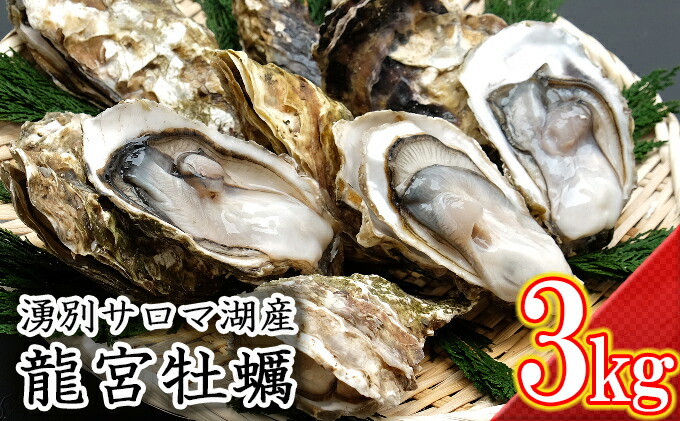 楽天市場 ふるさと納税 湧別サロマ湖産龍宮牡蠣3kg 2年カキ 魚貝類 生牡蠣 かき カキ 3kg お届け 21年2月 2月25日頃まで 北海道湧別町