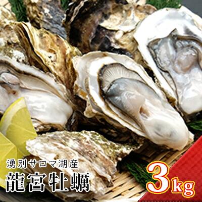 楽天市場 ふるさと納税 湧別サロマ湖産龍宮牡蠣3kg 2年カキ オンライン決済限定 魚貝類 生牡蠣 かき カキ 3kg お届け 21年2月 2月25日頃まで 北海道湧別町