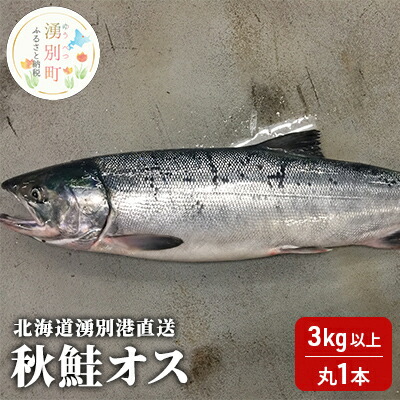 【ふるさと納税】【国内消費拡大求む】先行予約 北海道 湧別港直送 秋鮭 オス 3kg以上（丸1本）納期指定不可 鮭 さけ サケ 海鮮 魚介 国産 生 冷蔵 産地直送 オホーツク 魚貝類 サーモン 　お届け：2025年9月15日頃～10月15日頃まで