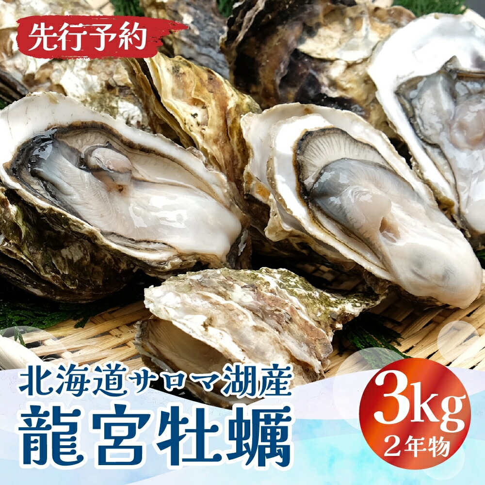 【ふるさと納税】先行予約 【国内消費拡大求む】先行予約 北海道 サロマ湖産 龍宮牡蠣 3kg（ 2年物 殻付き カキ ）カキナイフ付 牡蠣 海鮮 魚介 国産 貝付き 生牡蠣 生食 焼き牡蠣 蒸し牡蠣 冷蔵 産地直送 オホーツク 　お届け：2025年11月～12月15日