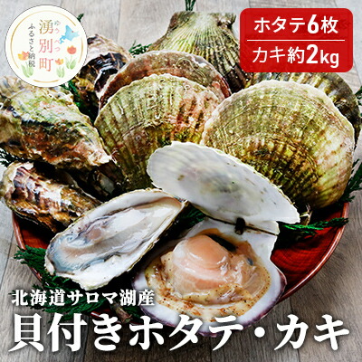 ≪先行予約１１月から発送≫北海道サロマ湖産 貝付きホタテ6枚 カキ約2kg お届け 【感謝価格】