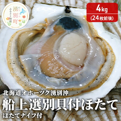 【ふるさと納税】先行予約【国内消費拡大求む】 北海道 オホーツク 湧別沖 船上 選別 貝付 ほたて 4kg（24枚前後）ホタテナイフ付 帆立 刺身 海鮮 魚介 国産 殻付き 冷蔵 サロマ湖 魚貝類 砂抜き お刺身 生食 　お届け：2025年4月～11月30日まで