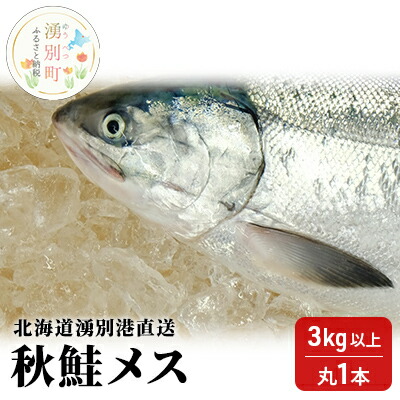 【ふるさと納税】【国内消費拡大求む】先行予約 北海道 湧別港直送 秋鮭 メス 3kg以上（丸1本）納期指定不可 さけ サケ いくら 筋子 国産 生 冷蔵 魚貝類 サーモン イクラ 　お届け：2025年9月15日頃～10月15日頃まで
