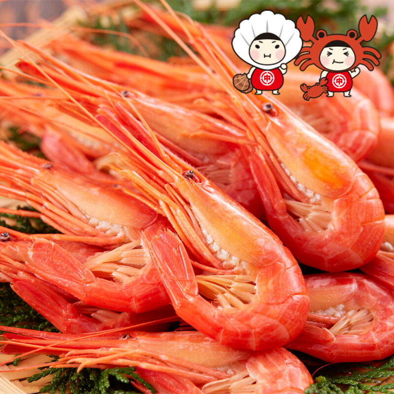 【ふるさと納税】北海道産 北海シマエビ 中 250g しまえび 海老 えび エビ