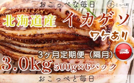 【ふるさと納税】イカゲソ3kg　隔月3ヶ月定期便【20001】