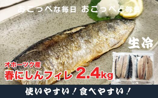 【ふるさと納税】特大 ”生冷” 春にしんフィレ2.4kg【20034】