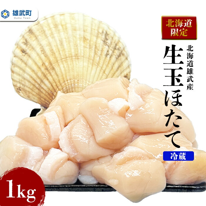 【ふるさと納税】【北海道限定！】北海道雄武町産　生玉ほたて500ｇ×2塩水パック（冷蔵）｜北海道限定 生玉ホタテ 生ホタテ　大粒 ホタテ 帆立 ほたて 新鮮 500g×2 1ｋg 生 冷蔵 塩水パック オホーツク 北海道 雄武町 雄武 刺身【0713301】