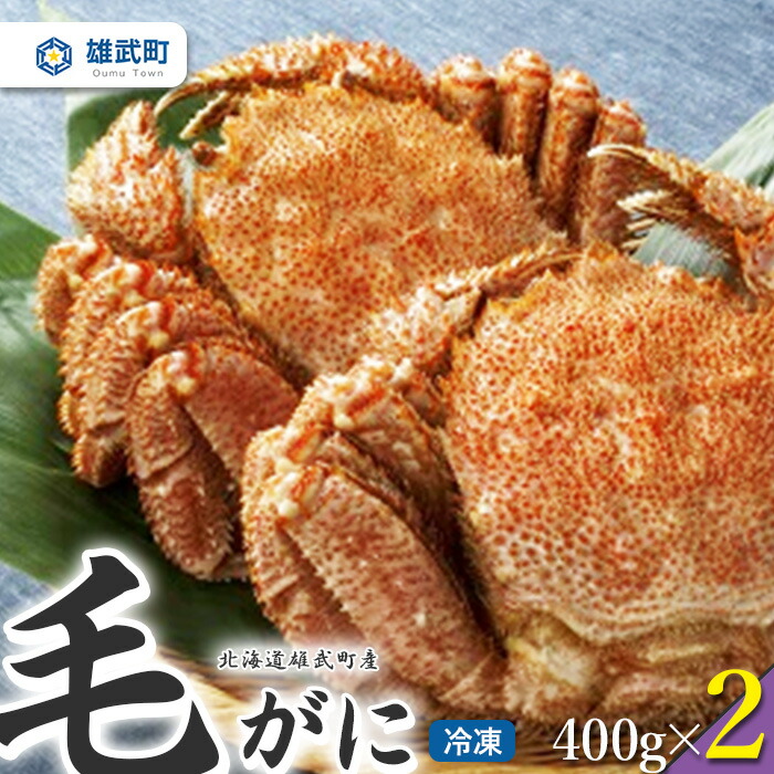【ふるさと納税】北海道雄武町産　毛がに（冷凍）(400g&times;2)【1240102】｜北海道雄武町 20,440円