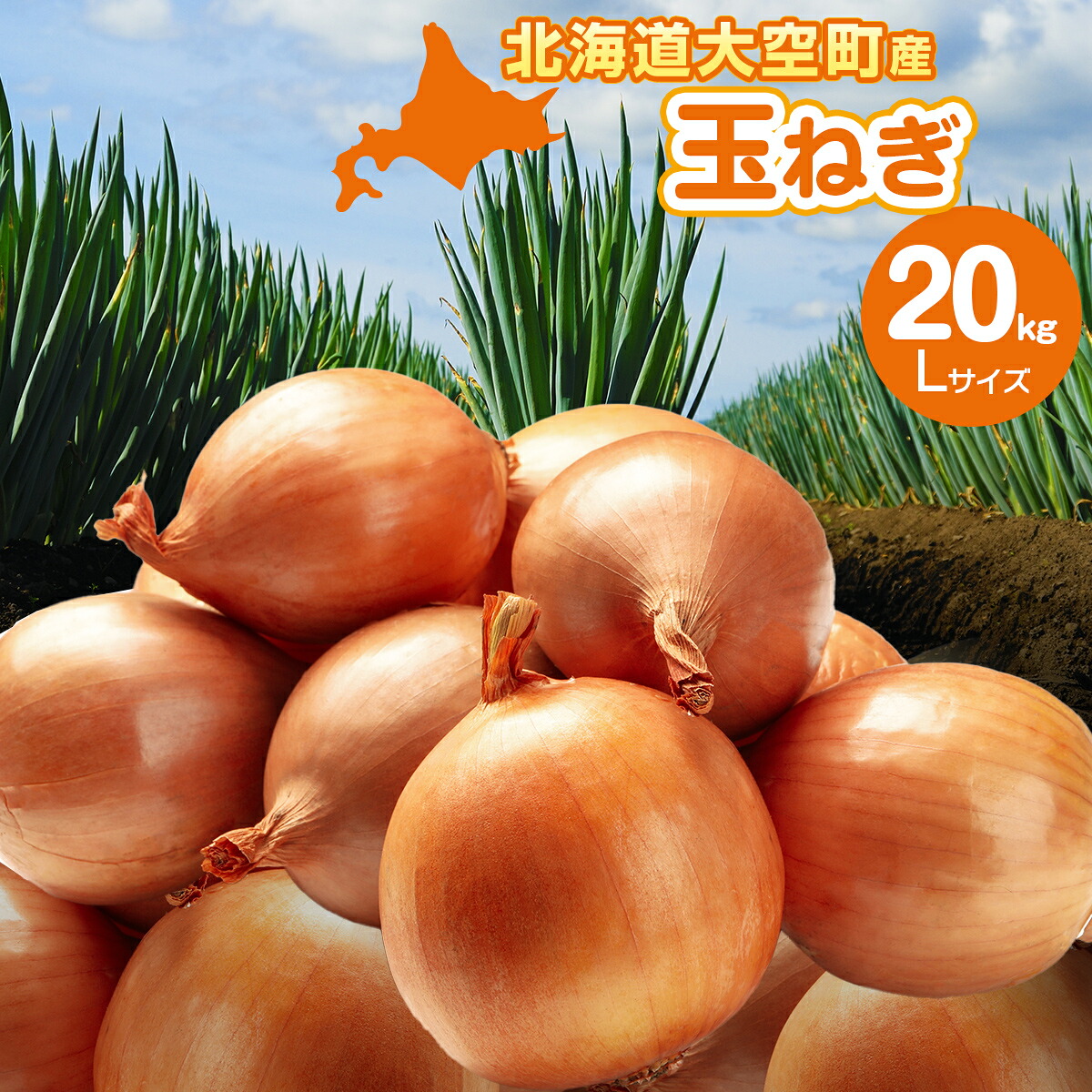 【ふるさと納税】【先行予約】玉ねぎ Lサイズ 20kg 大空町産（2026年10月上旬より発送） 【 ふるさと納税 人気 おすすめ ランキング たまねぎ オニオン スライス サラダ 野菜 スープ 肉じゃが ハンバーグ 甘い カレー 新鮮 北海道産 野菜 北海道 大空町 送料無料 】 OSR009