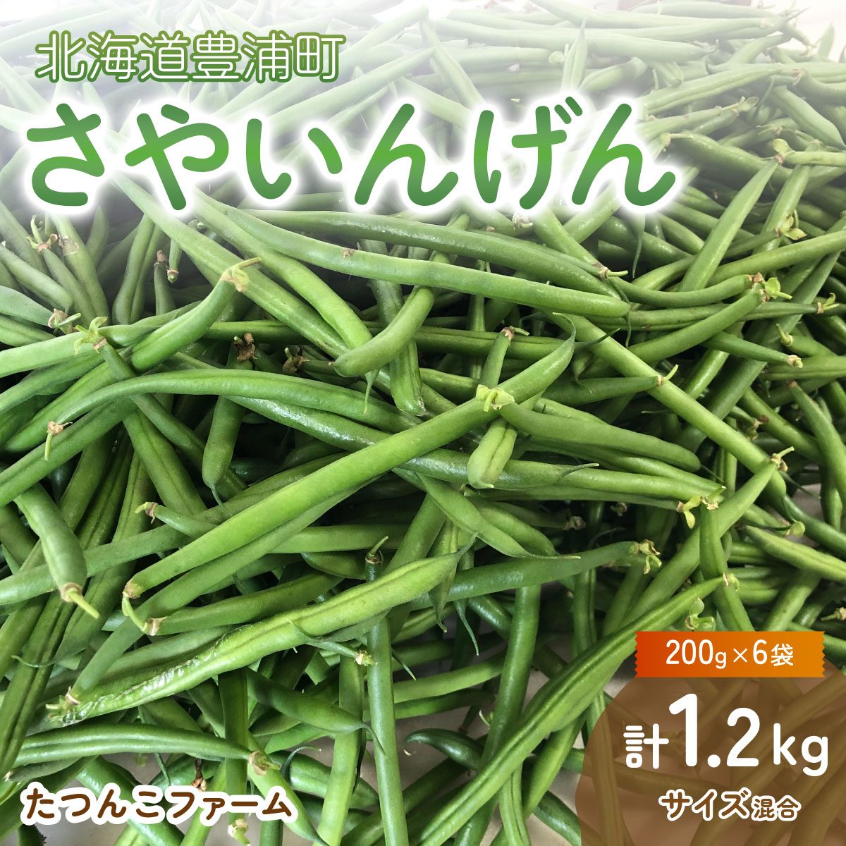 【ふるさと納税】 【2026.7月以降順次出荷】さやいんげん (200g × 6袋) 1.2kg サイズ混合 野菜 いんげん 冷蔵 北海道 豊浦町 送料無料