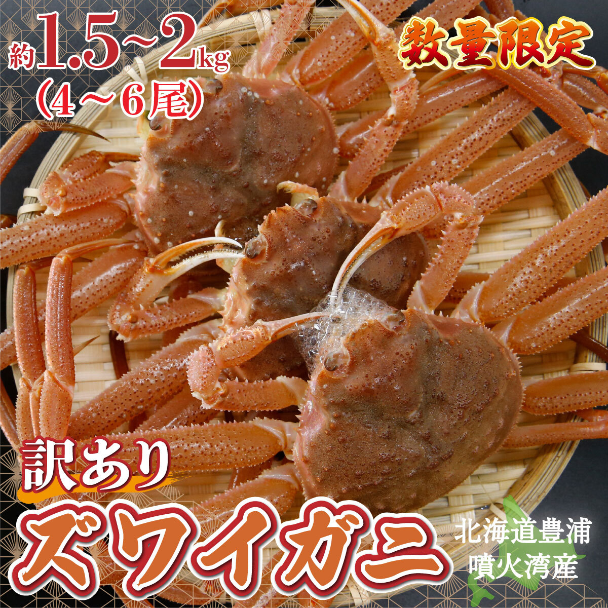 【ふるさと納税】【訳あり】 北海道 豊浦 噴火湾 ズワイガニ 約1.5～2kg（4～6尾） 数量限定【ふるさと納税 人気 おすすめ ランキング 魚介類 カニ かに 蟹 ズワイガニ ずわいがに 訳あり 大容量 おいしい 美味しい 新鮮 北海道 豊浦町 送料無料】TYUR041