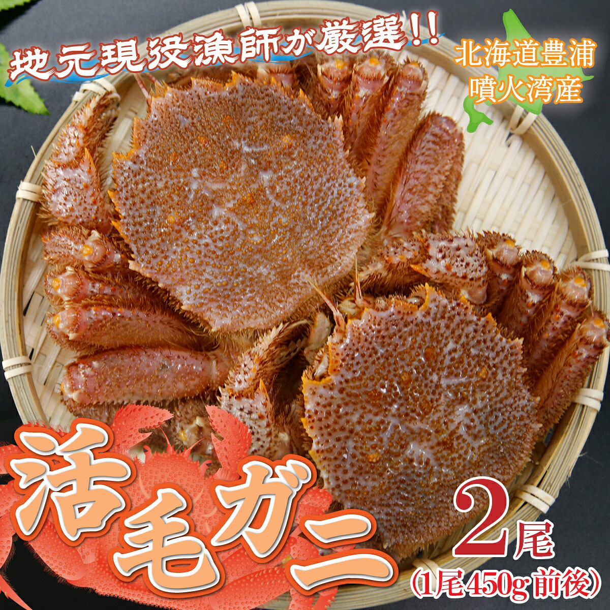 【ふるさと納税】【令和8年度発送先行予約】活毛ガニ 2尾 （1尾450g前後）