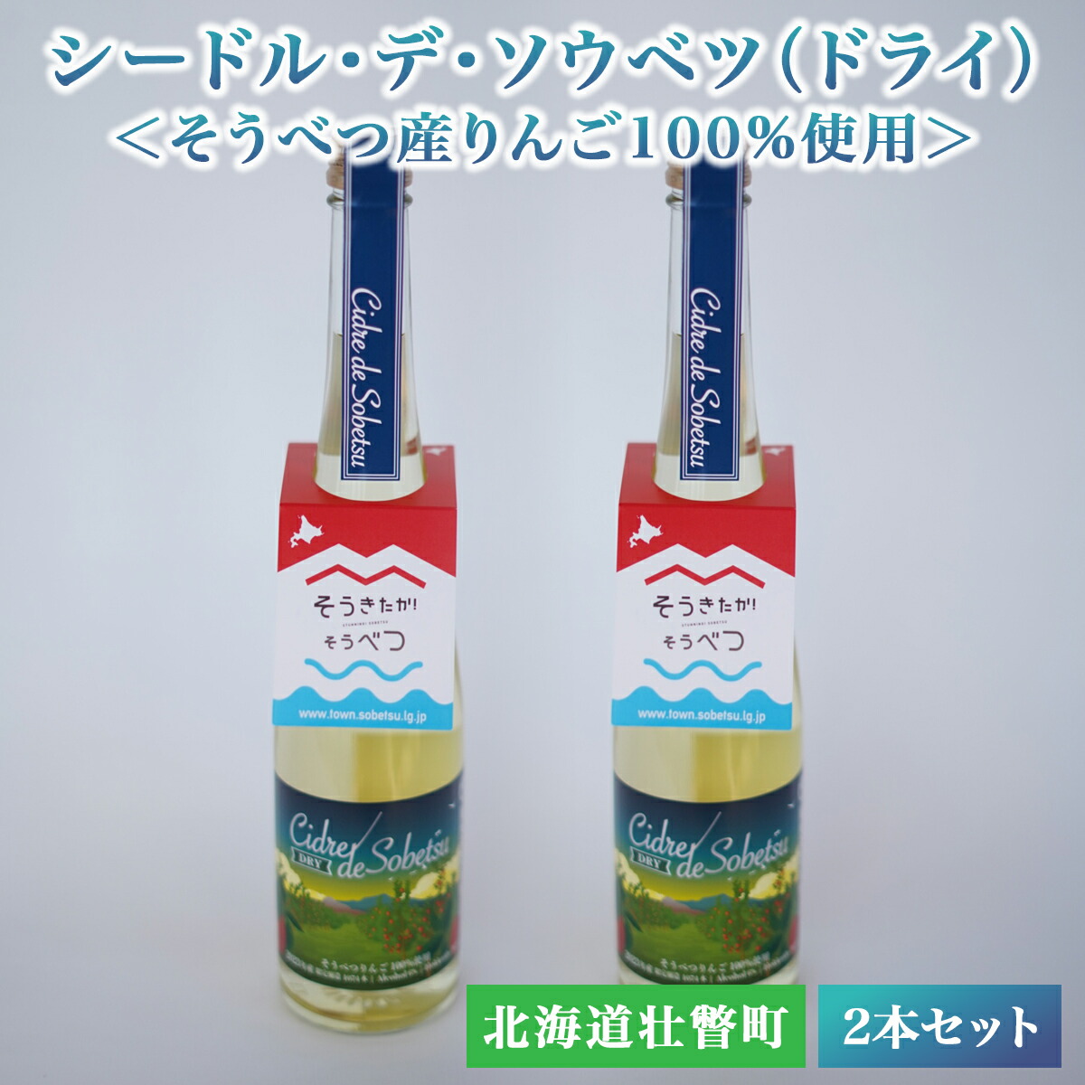 【ふるさと納税】シードル・デ・ソウベツ（ドライ）2本セット＜そうべつ産りんご100%使用＞ 【 ふるさと納税 人気 おすすめ ランキング 北海道 壮瞥 りんご 林檎 リンゴ アップル 果汁 100% アルコール 酒 辛口 ドライ 贈り物 北海道 壮瞥町 送料無料 】 SBTA030