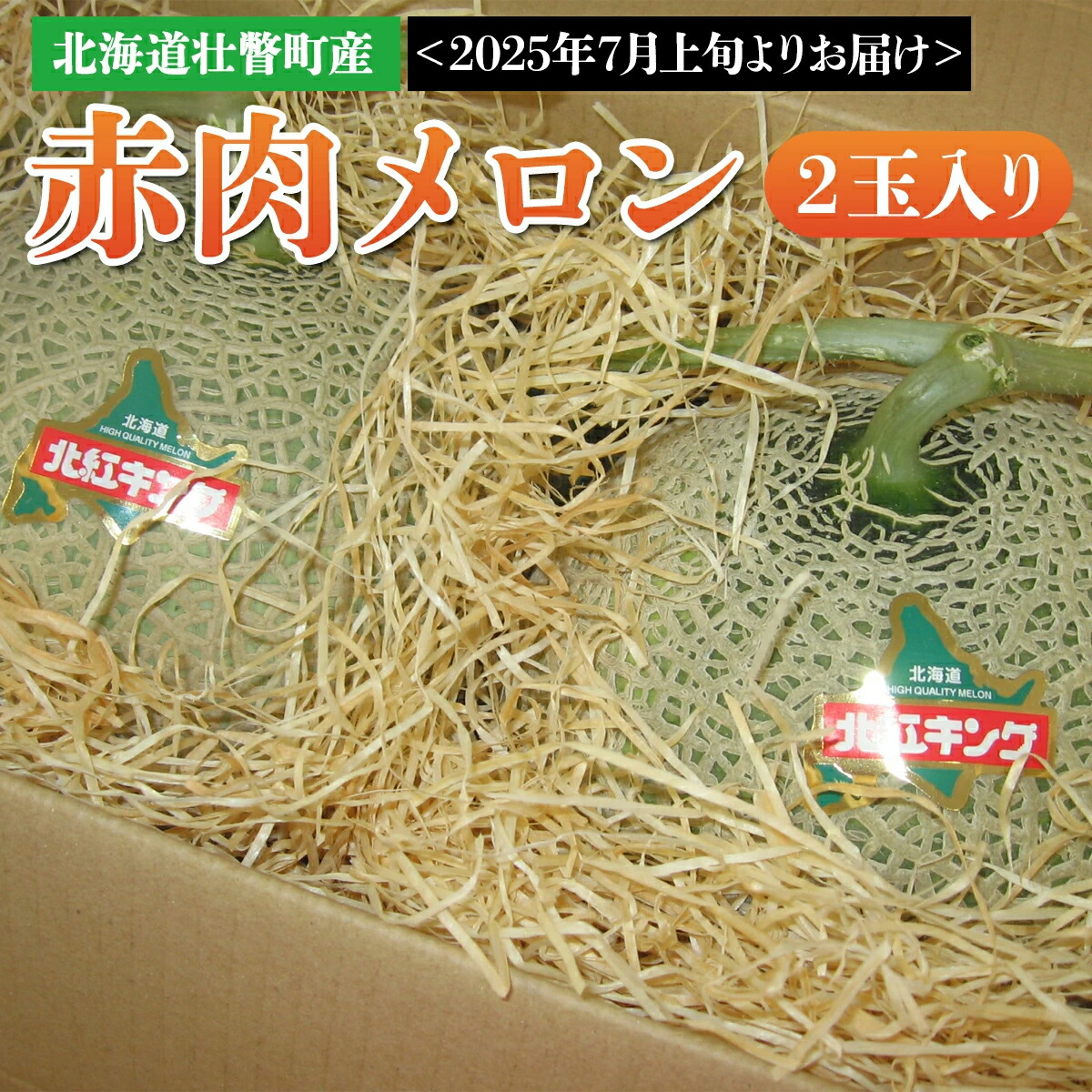【ふるさと納税】＜2025年7月上旬よりお届け＞北海道壮瞥産 赤肉メロン 2玉入り 【 ふるさと納税 人気 おすすめ ランキング 北海道 壮瞥 赤肉メロン  メロン 赤肉 産地直送 北海道メロン 果実 果物 旬 夏 季節商品 贈り物 贈物 贈答 北海道 壮瞥町 送料無料 】 SBTA031