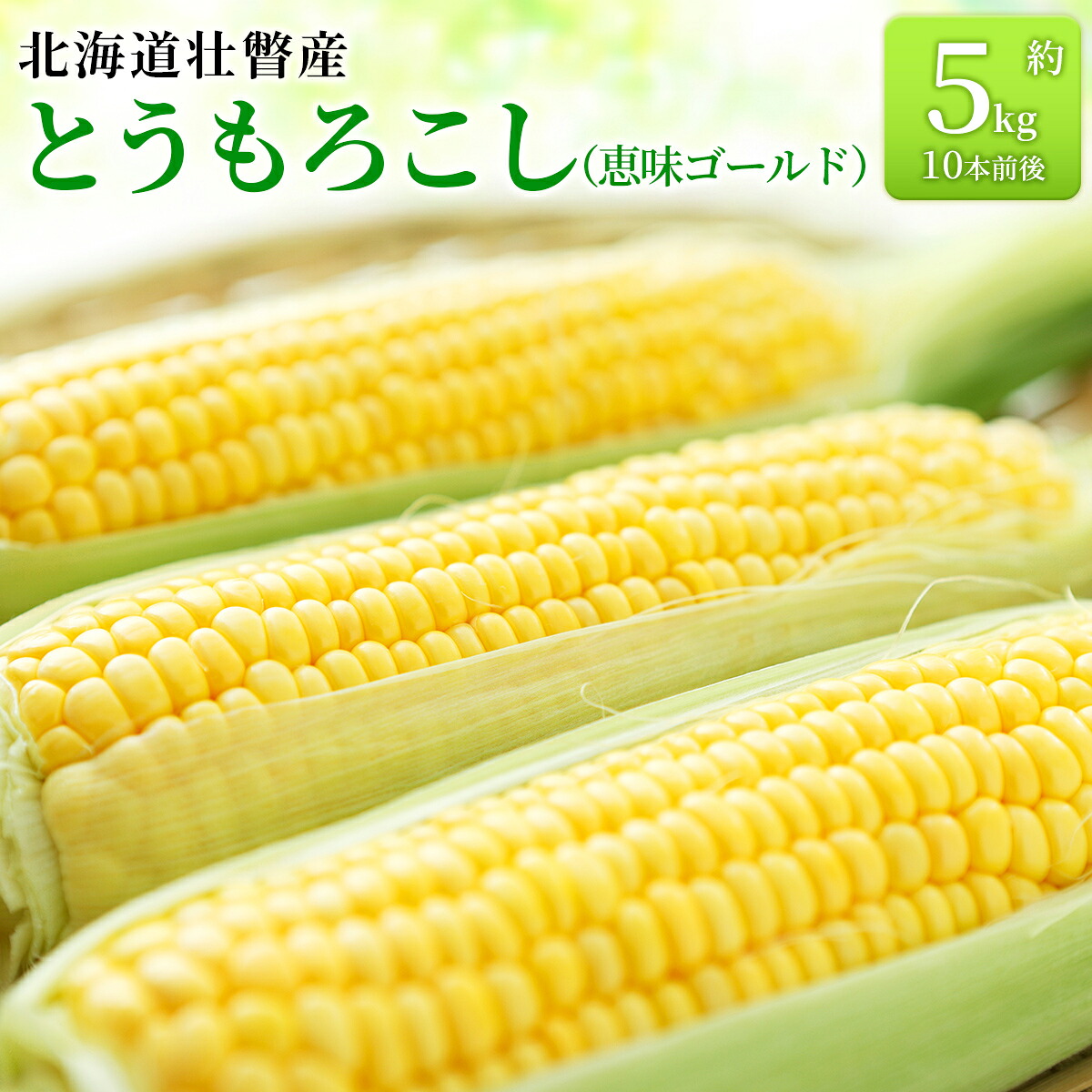 【ふるさと納税】＜2026年8月上旬より順次お届け＞北海道壮瞥産 とうもろこし（恵味ゴールド）約5kg 【 ふるさと納税 人気 おすすめ ランキング 北海道 壮瞥 先行予約 とうもろこし トウモロコシ 野菜 大容量 詰合せ セット 北海道 壮瞥町 送料無料 】SBTA001