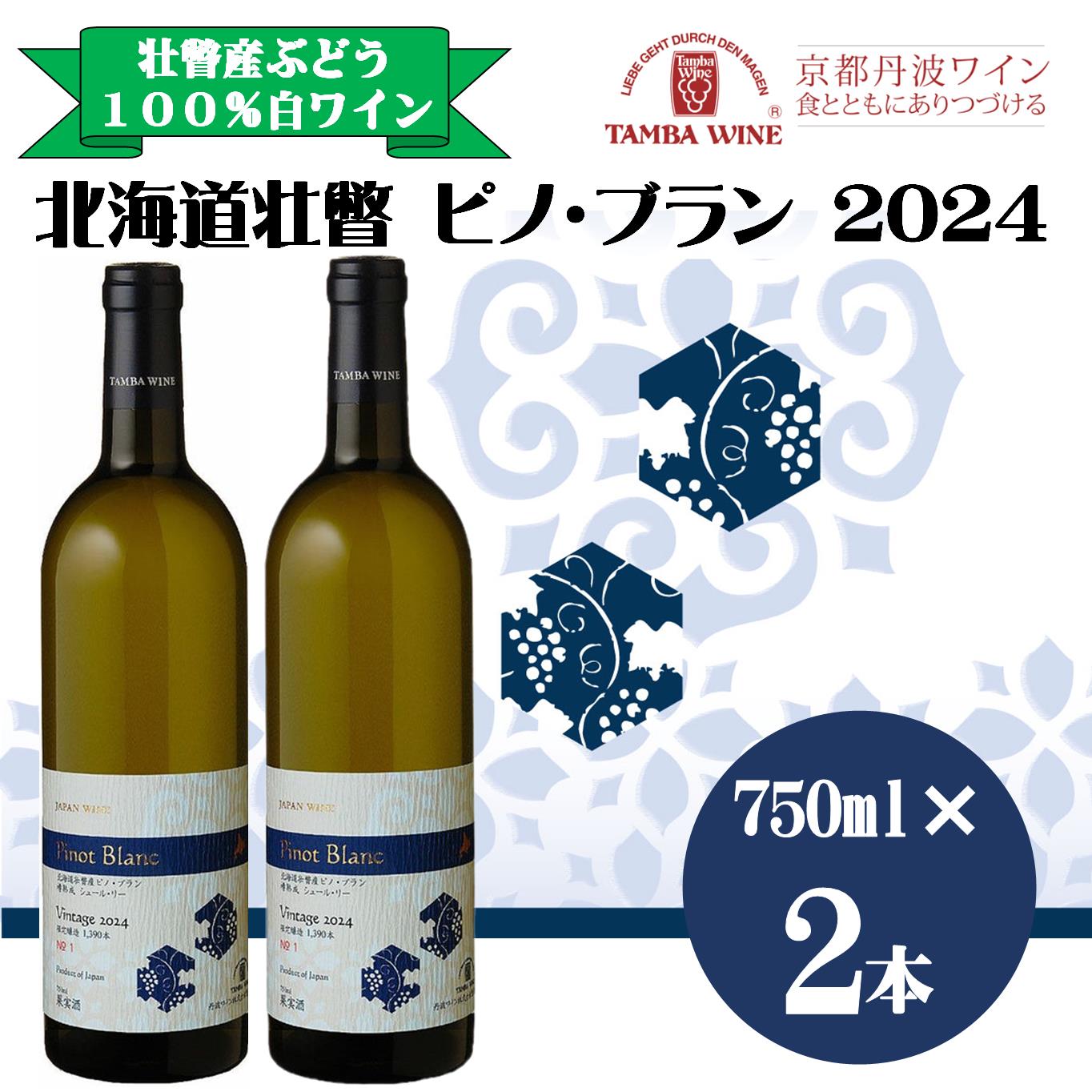 【ふるさと納税】北海道壮瞥産 ピノ・ブラン2024(辛口白ワイン) 750ml&times;2本 【 ふるさと納税 人気 おすすめ ランキング 北海道 壮瞥 ワイン ピノ・ブラン ぶどう 葡萄 酒 白 辛口 贈り物 贈物 贈答 ギフト 詰合せ セット 北海道 壮瞥町 送料無料 】 SBTA085｜北海道壮瞥町 21,000円