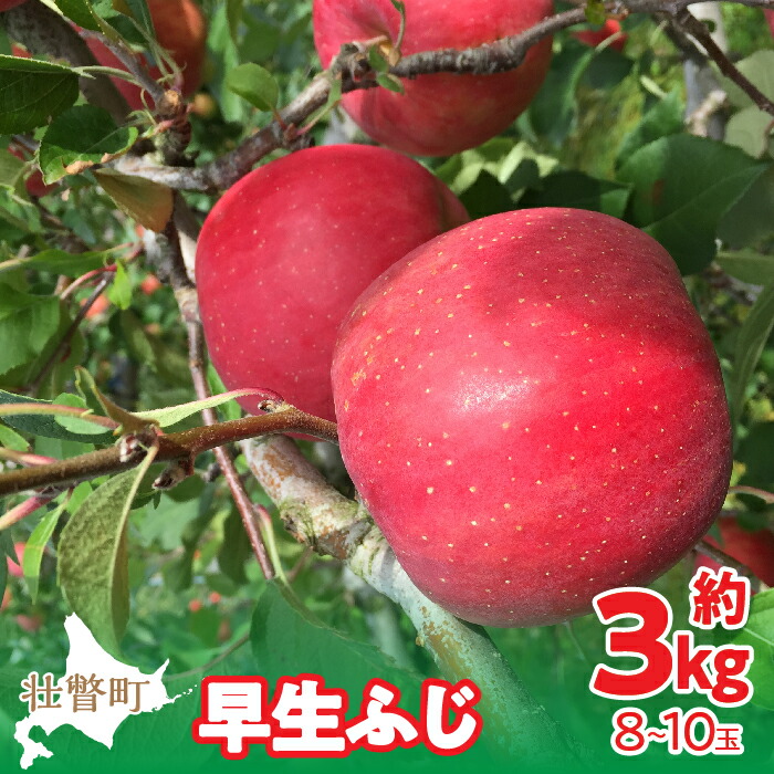 【ふるさと納税】＜2025年10月中旬よりお届け＞ 北海道壮瞥町 りんご 品種名「早生ふじ」8～10玉約3kg 【 ふるさと納税 人気 おすすめ ランキング りんご リンゴ 林檎 早生ふじ ふじ 昴林 紅将軍 北海道 壮瞥町 送料無料 】SBTF002